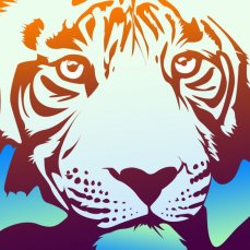 Cover - Tiger